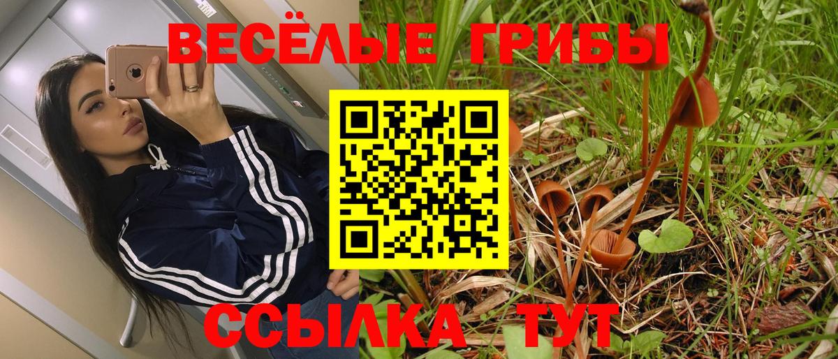 Псилоцибиновые грибы Magic Shrooms  Вход с VPN  Мирный 